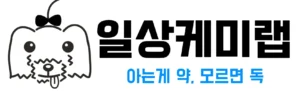 일상케미랩 로고